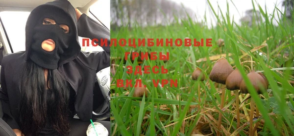 МДПВ Армянск