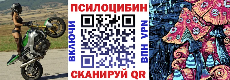 Псилоцибиновые грибы прущие грибы  Родники 